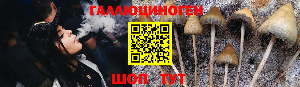 Октябрьский  Галлюциногенные грибы Magic Shrooms  Вход с VPN 