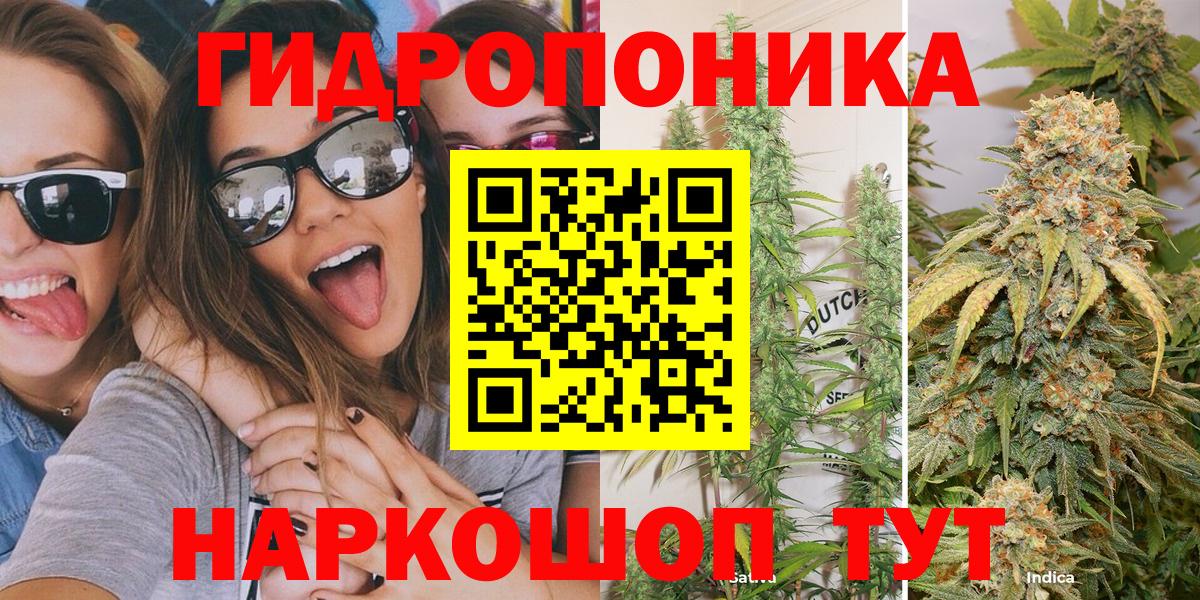 Октябрьский  Бошки Шишки сатива  Вход с VPN  Канабис марихуана  Каннабис THC 21% 